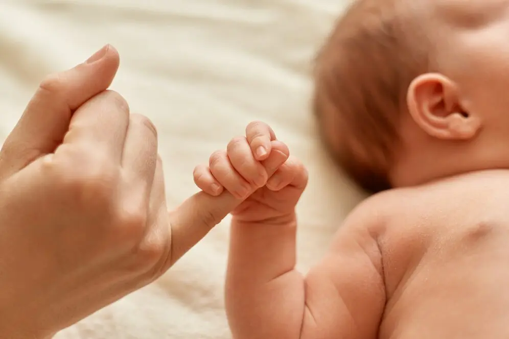 Aborto
