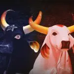 Foto dos bois Caprichoso e Garantido
