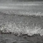 Chuva em março afeta primeira safra do ano | Imagem: Reprodução/Wikimedia Commons