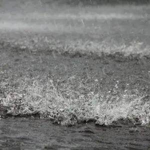 Chuva em março afeta primeira safra do ano | Imagem: Reprodução/Wikimedia Commons