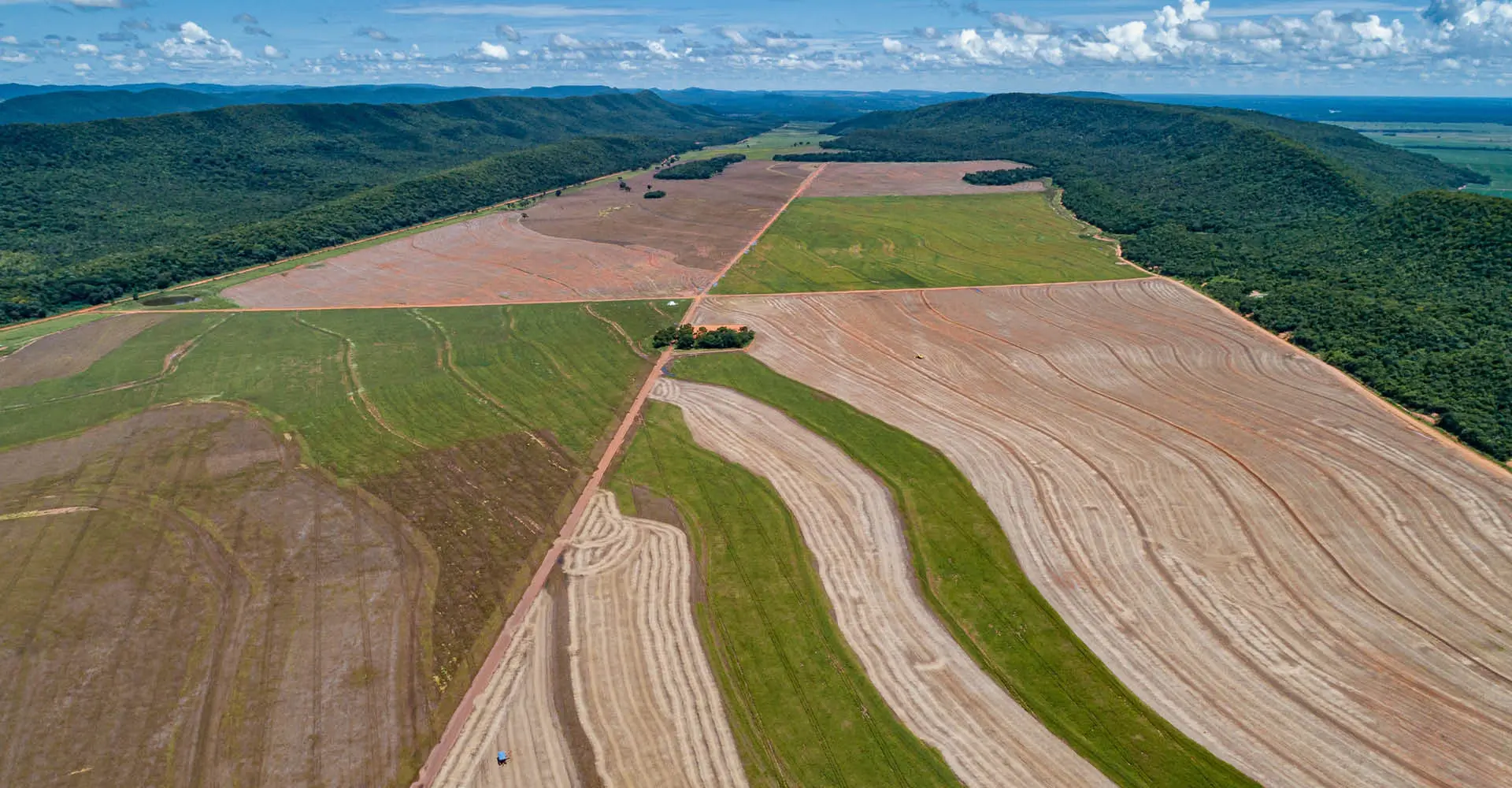 Lavoura de soja no Mato Grosso, Brasil | Foto: Shutterstock