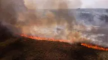 Queimada na região amazônica