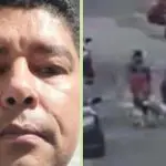 Advogado morre ao ser atacado por um pitbull em SP