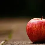 Há milhares de anos, a maçã é uma das frutas mais consumidas no mundo | Foto: Reprodução/Pexels