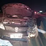 acidente - secretário morre - cavalo - rodovia dos bandeirantes - nova odessa