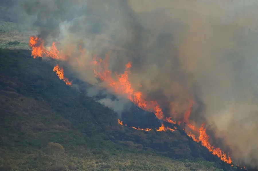 amazônia - incêndio florestal