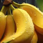 banana a força do agro
