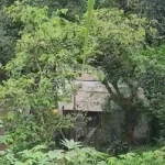 Por se tratar de uma área de conservação e de difícil acesso, a PM Ambiental solicitou apoio do Gate | Foto: Reprodução/Polícia Militar