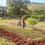 mst minas gerais