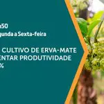O programa A Força do Agro vai ao ar de segunda a sexta-feira | Foto: Divulgação/Revista Oeste