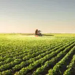 Existem várias práticas de conservação do solo | Foto: Reprodução/MyFarm