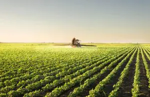 Existem várias práticas de conservação do solo | Foto: Reprodução/MyFarm