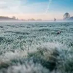 Alerta temperatura