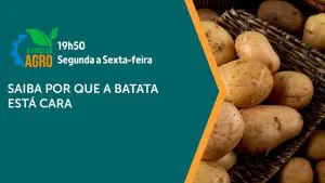 O programa A Força do Agro vai ao ar de segunda a sexta-feira | Foto: Divulgação/Revista Oeste