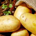Versátil, a batata pode ser preparada de diversas formas, em salada, assada, cozida ou frita | Foto: Reprodução/PXHere