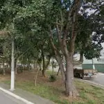 Praça Ramiro Cabral da Silva