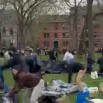 Acampamento em Harvard