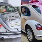 Fusca e Ora Ballet Cat