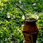 O Brasil é líder na produção mundial de erva-mate, e o Paraná o principal produtor nacional | Foto: Reprodução/Guará 50 anos