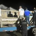Barco Pará
