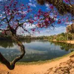O corpo estava perto dos jatos d'água, na região do lago próxima à Avenida Pedro Álvares Cabral | Foto: Reprodução/Prefeitura de São Paulo