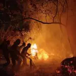 Incêndios florestais