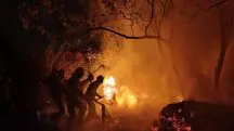 Incêndios florestais