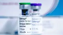 Vacina dengue