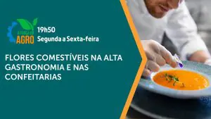 O programa A Força do Agro vai ao ar de segunda a sexta-feira | Foto: Divulgação/Revista Oeste