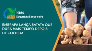 O programa A Força do Agro vai ao ar de segunda a sexta-feira | Foto: Divulgação/Revista Oeste