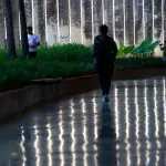 Além da recomposição salarial, os docentes pedem pela igualdade de benefícios e auxílios com os servidores do Legislativo e do Judiciário ainda em 2024 | Foto: Reprodução/Agência Brasil