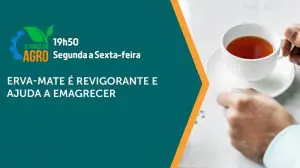 a força do agro 203 - 19042024