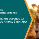 a força do agro 207 25042024