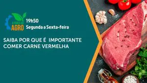 Assista à íntegra de mais uma edição de A Força do Agro | Foto: Divulgação/Revista Oeste
