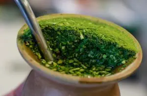 erva-mate chimarrão a força do agro