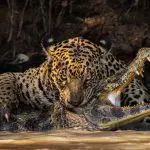 concurso de fotografia