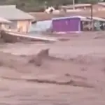 O rompimento aconteceu na região do Grande Vale do Rift, oeste do Quênia | Foto: Reprodução/Redes sociais