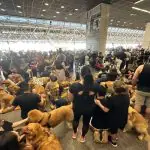 protesto-aeroporto