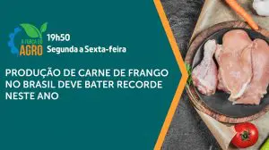 O frango é assunto em A Força do Agro | Foto: Reprodução/Revista Oeste