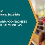 O programa A Força do Agro vai ao ar de segunda a sexta-feira, às 19h50 | Foto: Divulgação/YouTube/Revista Oeste