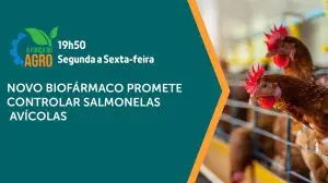 O programa A Força do Agro vai ao ar de segunda a sexta-feira, às 19h50 | Foto: Divulgação/YouTube/Revista Oeste