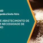 O arroz é assunto em A Força do Agro | Foto: Divulgação/Revista Oeste