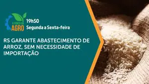 O arroz é assunto em A Força do Agro | Foto: Divulgação/Revista Oeste