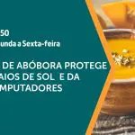 A abóbora é assunto em A Força do Agro desta sexta-feira, 24 | Foto: Divulgação/Revista Oeste