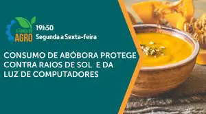 A abóbora é assunto em A Força do Agro desta sexta-feira, 24 | Foto: Divulgação/Revista Oeste