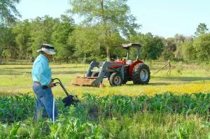 O agronegócio é uma empresa a céu aberto, e as condições climáticas influenciam diretamente no setor | Foto: Reprodução/Freepik