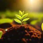 O solo brasileiro é rico para as plantações | Foto: Reprodução/Freepik | Imagem gerada por inteligência artificial