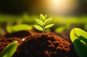 O solo brasileiro é rico para as plantações | Foto: Reprodução/Freepik | Imagem gerada por inteligência artificial
