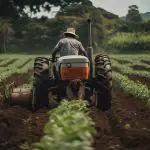 O agronegócio representa quase 30% do Produto Interno Bruto (PIB) brasileiro — e não para de crescer | Foto: Reprodução/Freepik | Imagem gerada por inteligência artificial