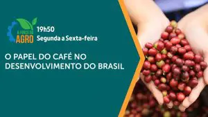 O café é assunto em A Força do Agro desta quinta-feira, 23 | Foto: Divulgação/Revista Oeste
